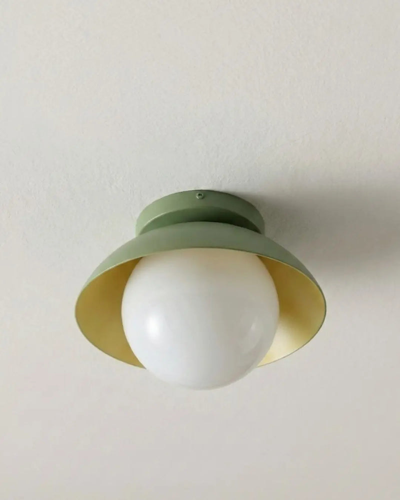 Nivo Globe Sconce | Kase Formlu Renkli Duvar Apliği