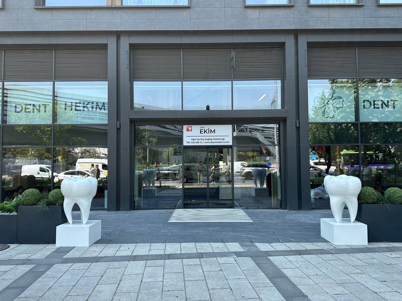 Dentalis 170 | Dev Diş Formlu Kaideli Heykel