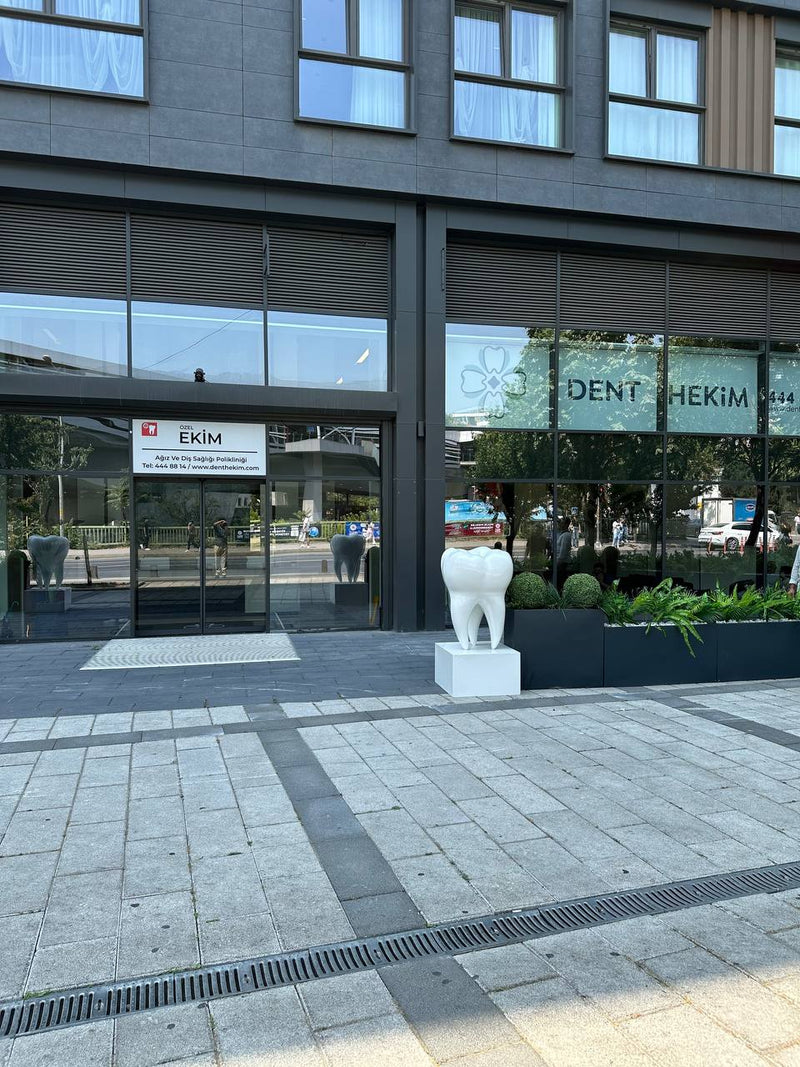 Dentalis 170 | Dev Diş Formlu Kaideli Heykel